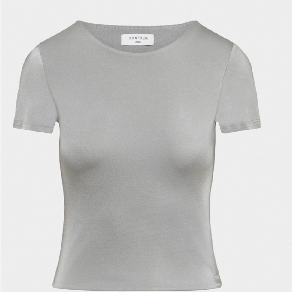 Aritzia Contour Metallic Crew Neck T-Shirt - Picture 6 of 12
